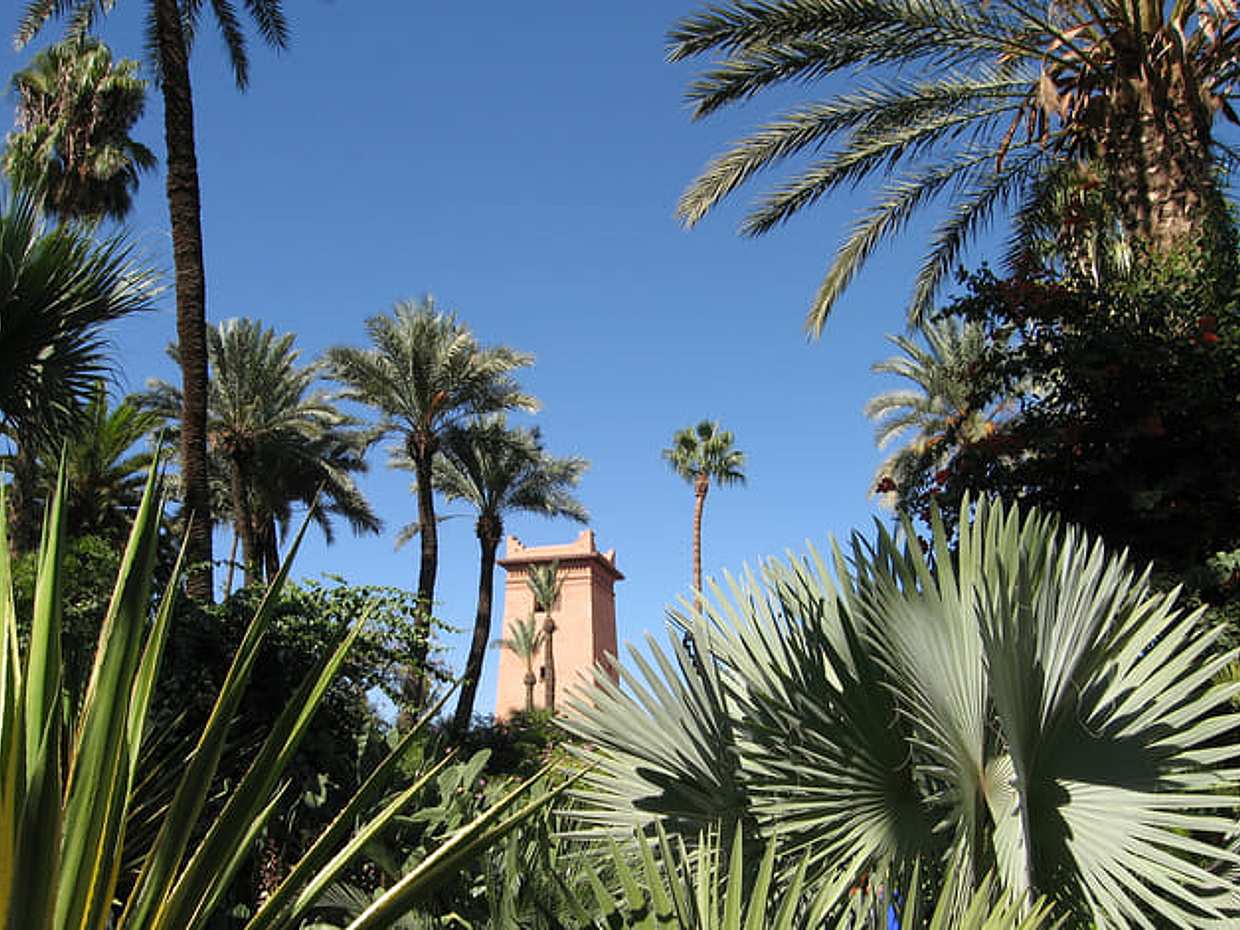 Visit Majorelle Gardens, Museum and Ramparts, photo 5