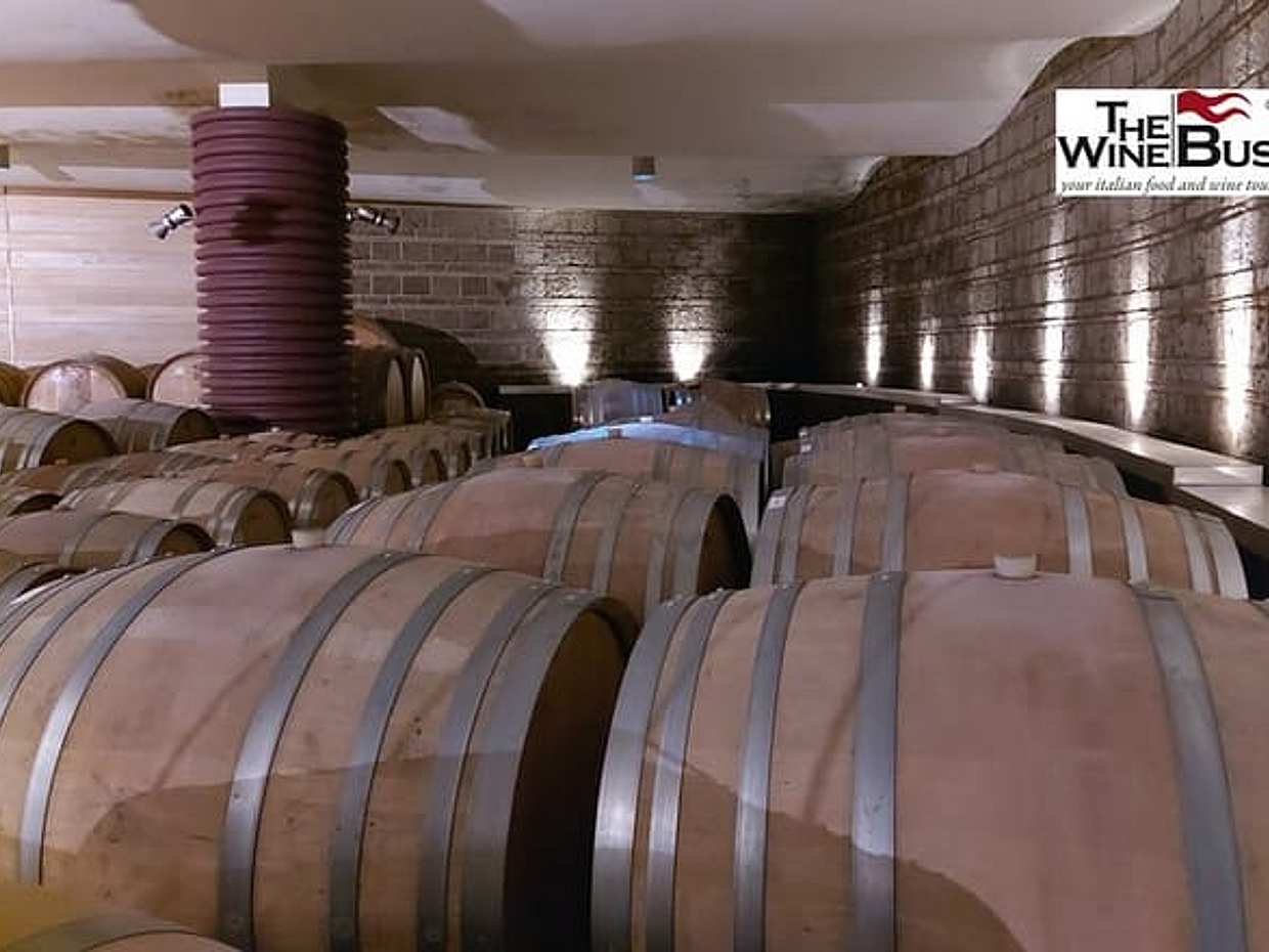 Private Irpinia Wine Tour from SORRENTO with sommelier, photo 3