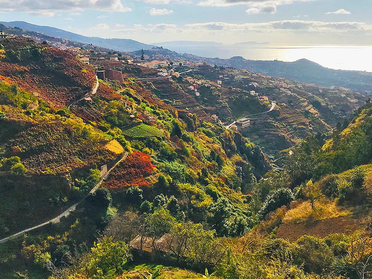Northern Levada Half-day Walking Tour in Madeira, Portugal, photo 2