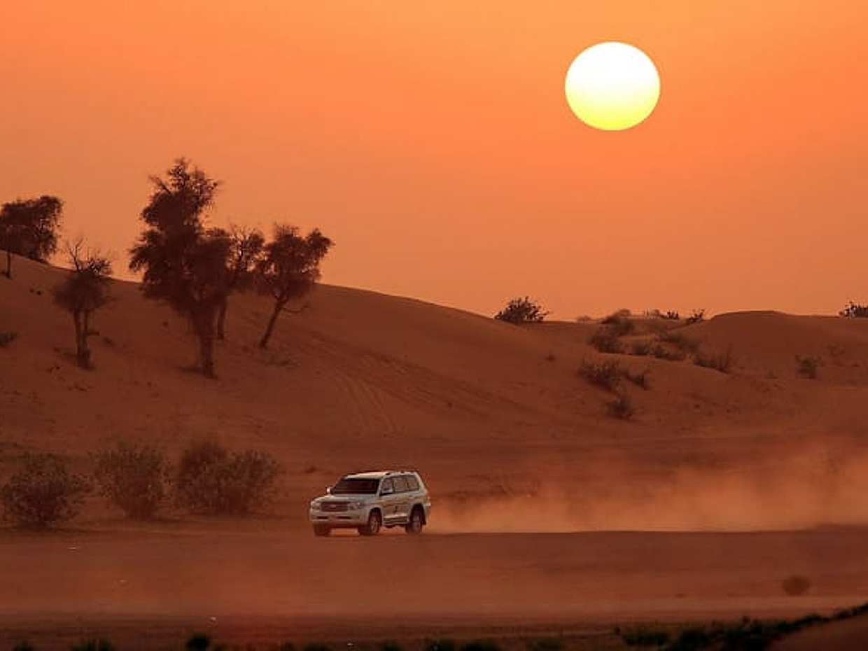 Book 4-Hour Morning Desert Safari Tour from Dubai in United Arab Emirates, photo 3