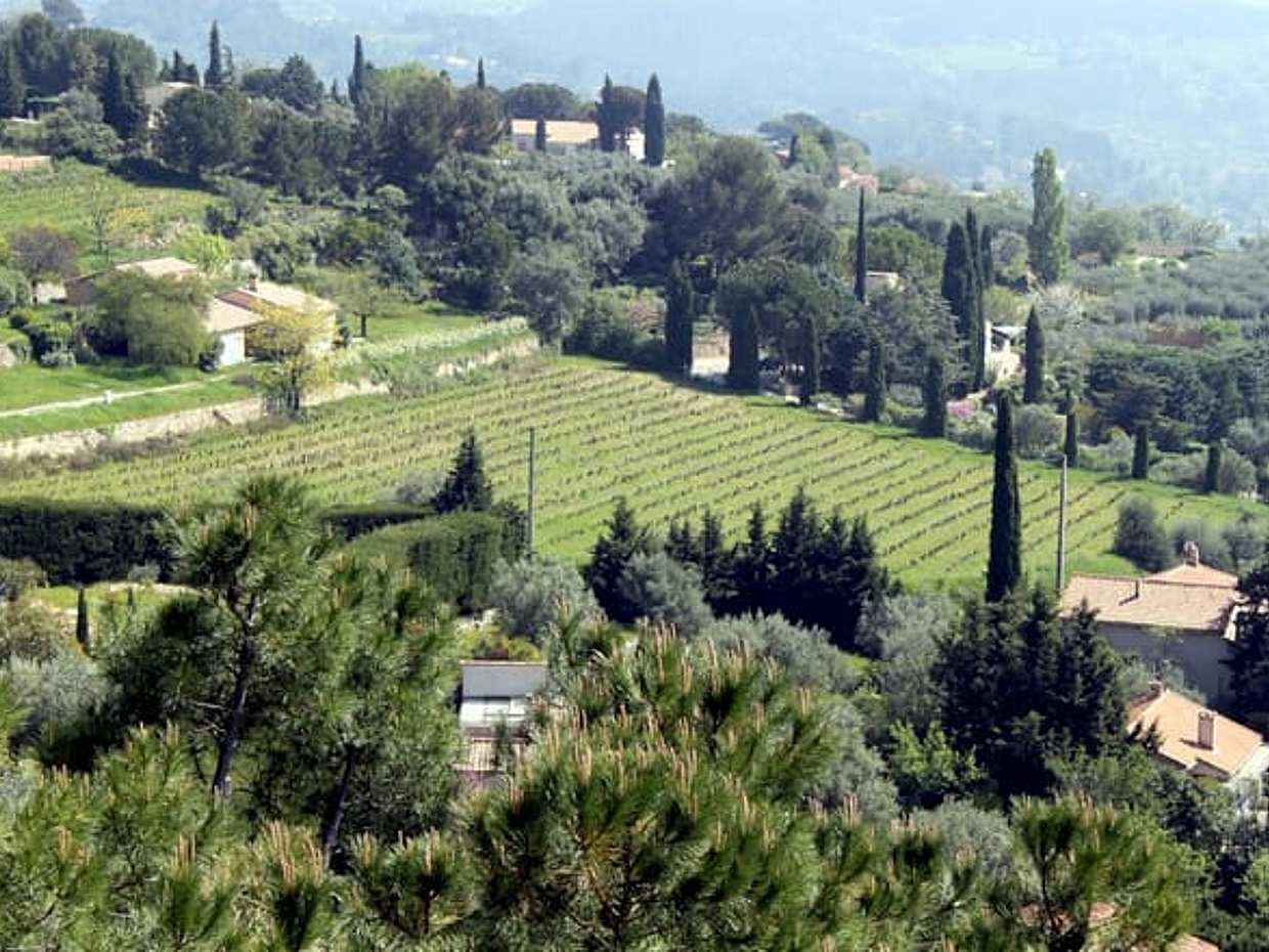 Private Provence Wine Adventure from Toulon Port