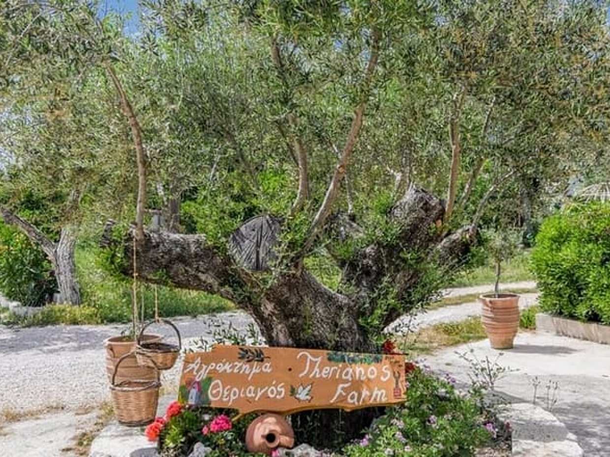 Zakynthos západ slunce s řeckou nocí do Kampi v Řecku, Zakynthos, photo 2