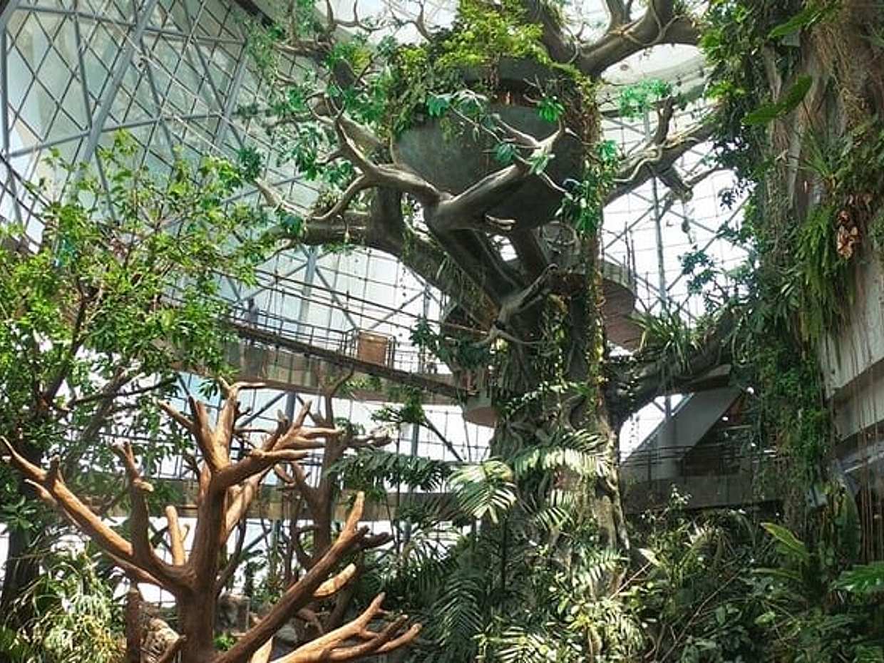 Full-Day Ticket to The Green Planet Dubai in United Arab Emirates, Sharjah, photo 5