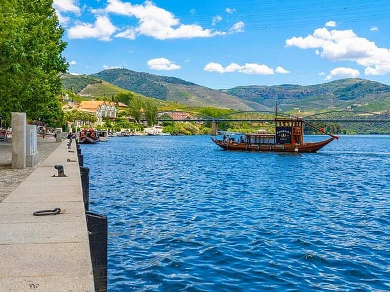 Private tour from Porto to Duoro Valley (Peso da Regua & Pinhao) in Portugal
