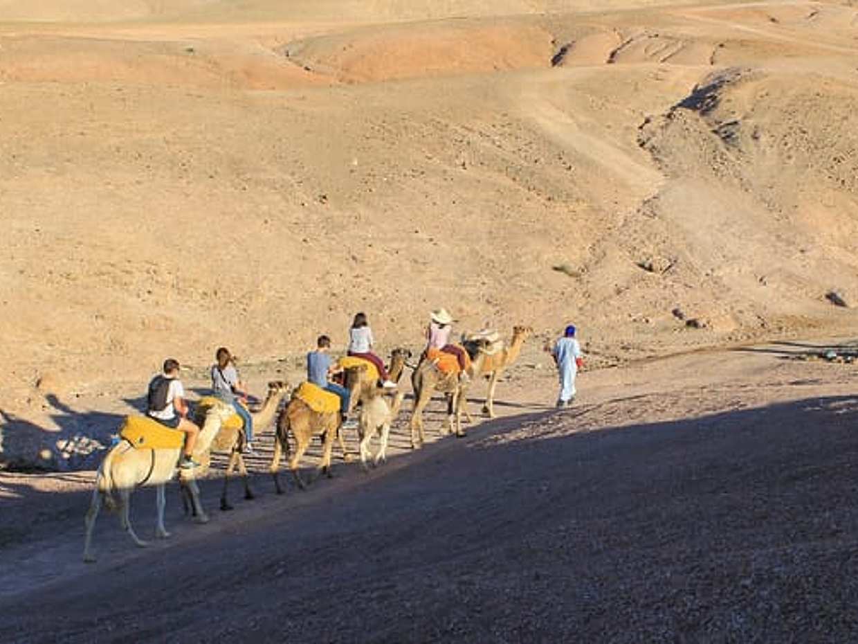 Quad & Camel Ride in Agafay Desert