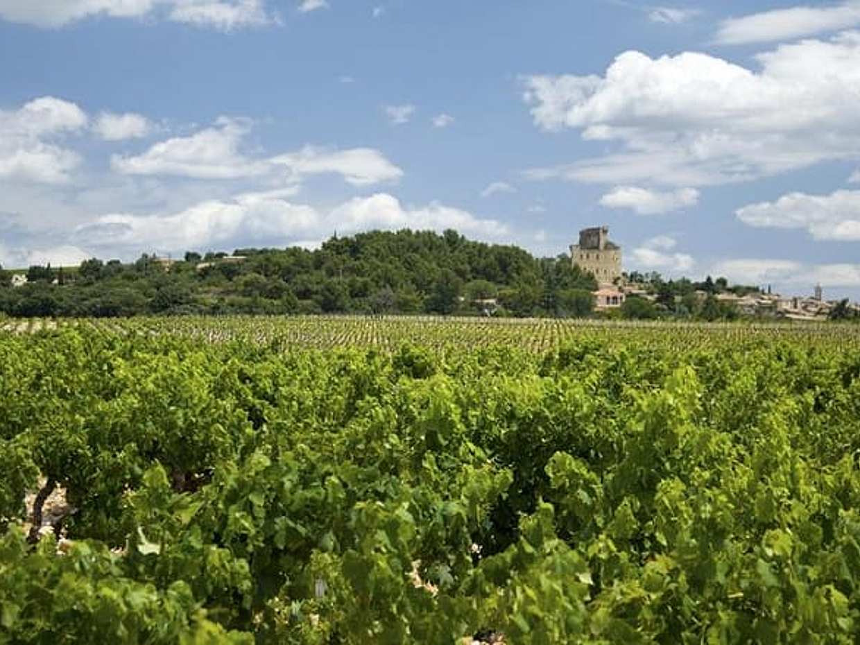 Full private day Avignon Chateuneuf du pape wine tasting, photo 2