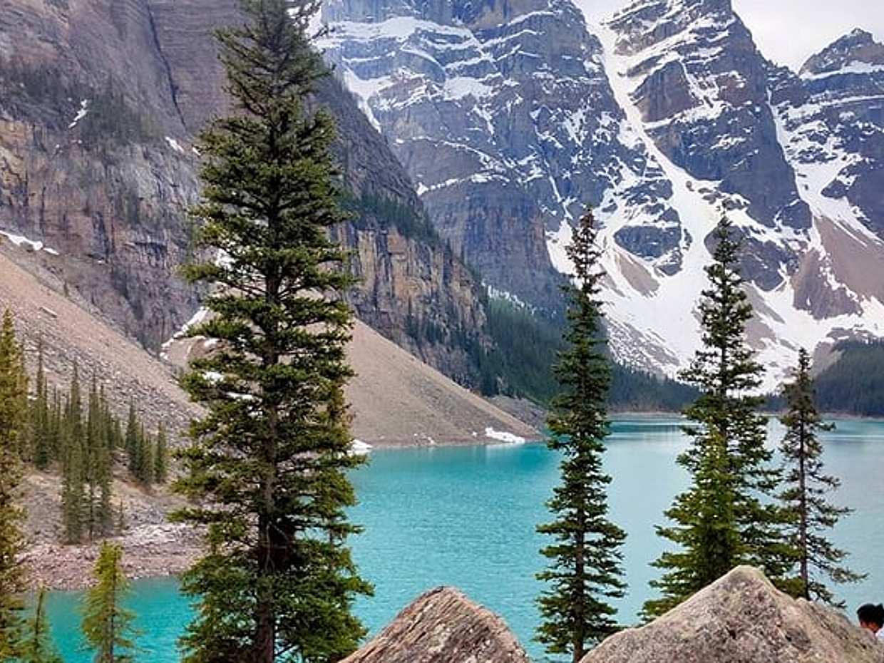 Lake Louise, Moraine Lake, Peyto Lake, Crowfoot Tour from Calgary, photo 3