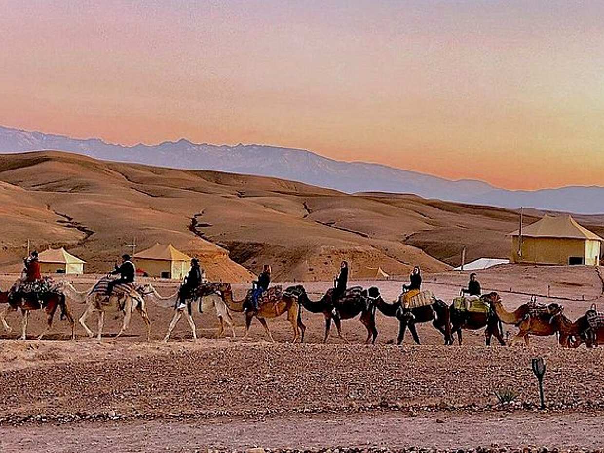 Dinner in Agafay Desert with Camel Ride and Quad Bike in Morocco, Marrakesh, photo 2