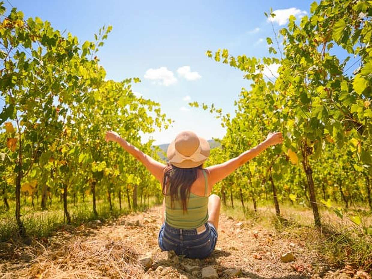 Chianti Vineyards Escape from Florence with Two Wine Tastings from Florence