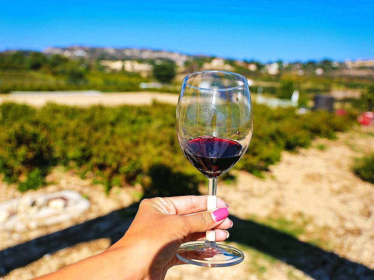 Wine Tour – Vineyards, Tastings & Scenic Views from Paphos in Cyprus, Paphos Local Wineries Tour & Wine Tasting
