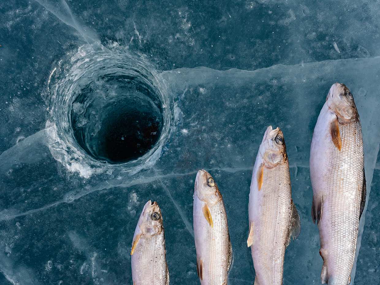 Ice Fishing Experience from Pyha and Luosto, Finland