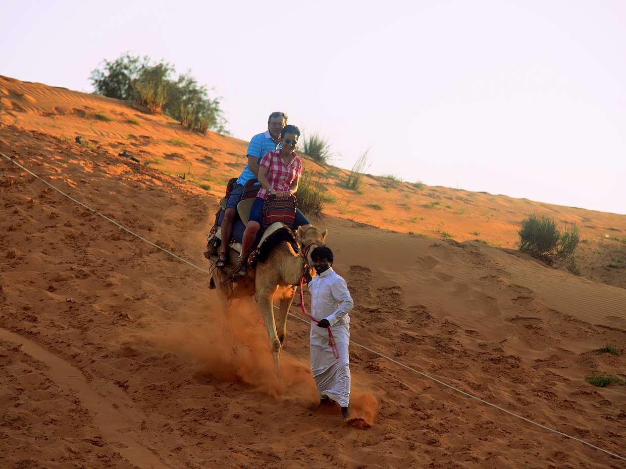 Morning Camel Trekking with Quad Biking in Ras al Khaimah, United Arab Emirates, photo 3