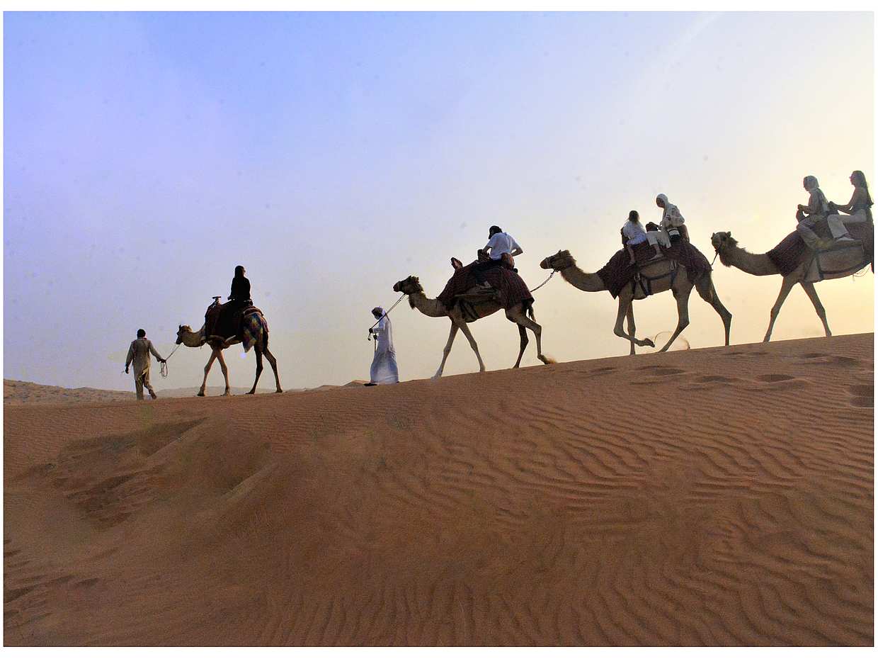 Morning Camel Trekking with Quad Biking in Ras al Khaimah, United Arab Emirates