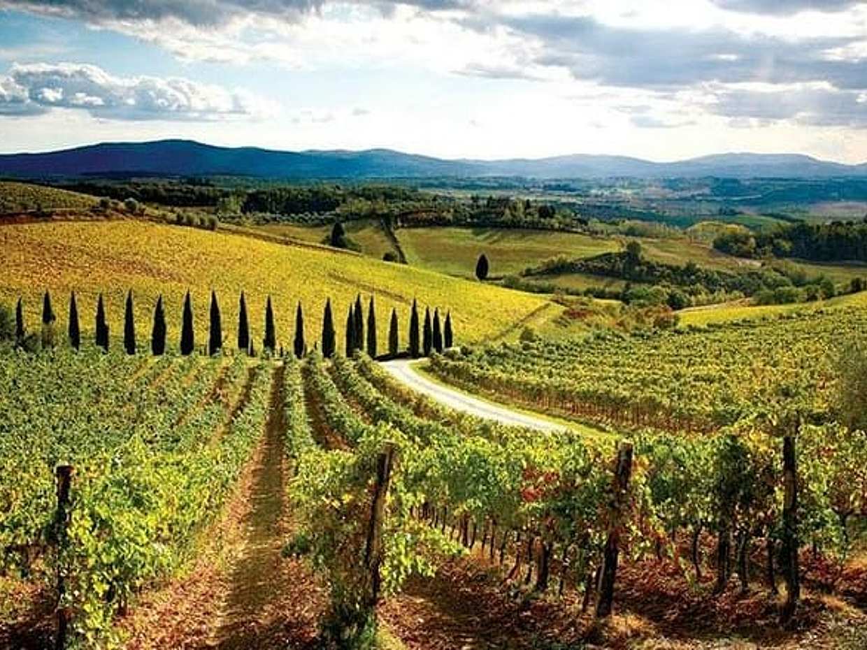 Recorrido en bicicleta por Chianti desde Florencia, Italia, photo 3