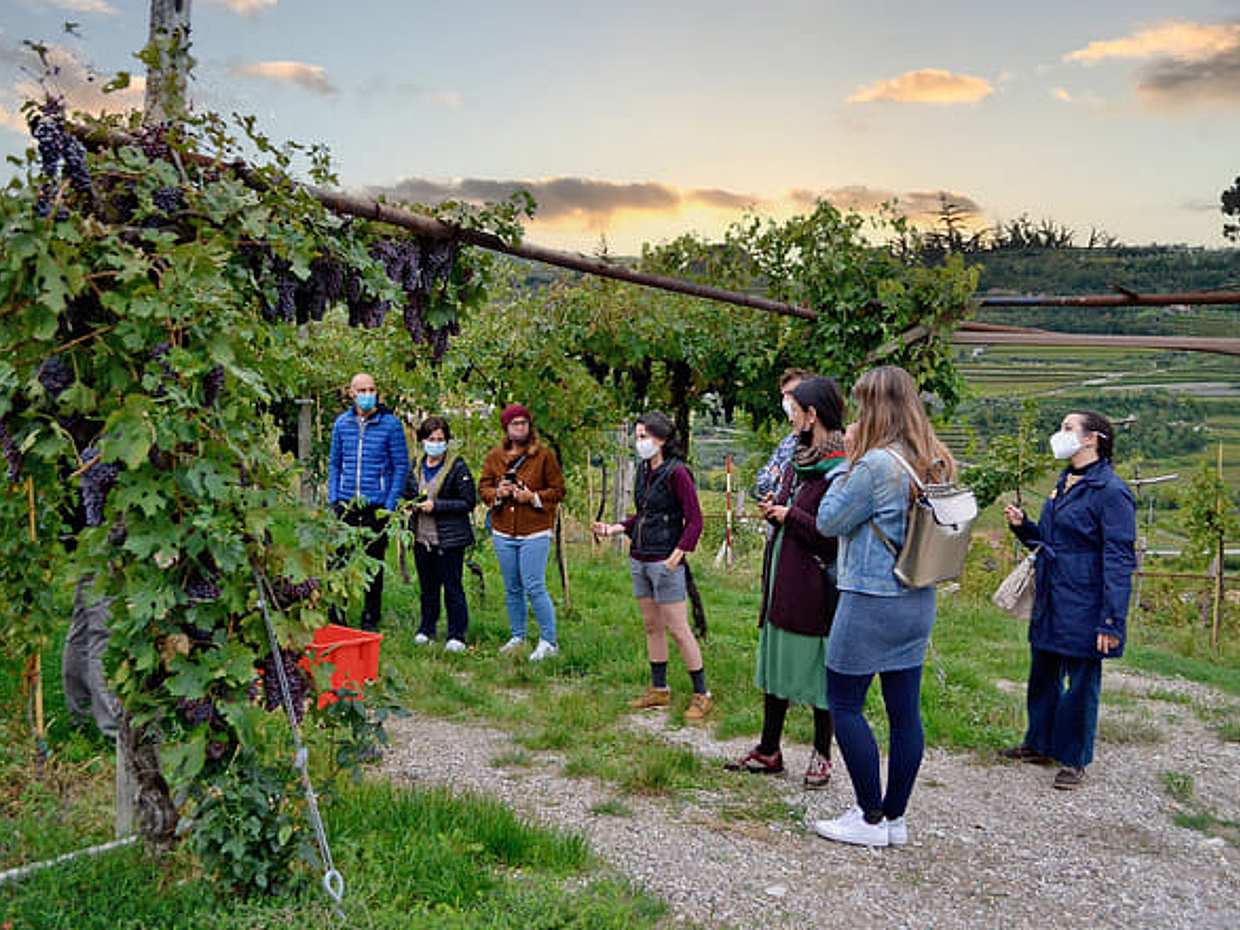 Wine tasting in Valpolicella Classica: the cradle of Amarone, photo 3
