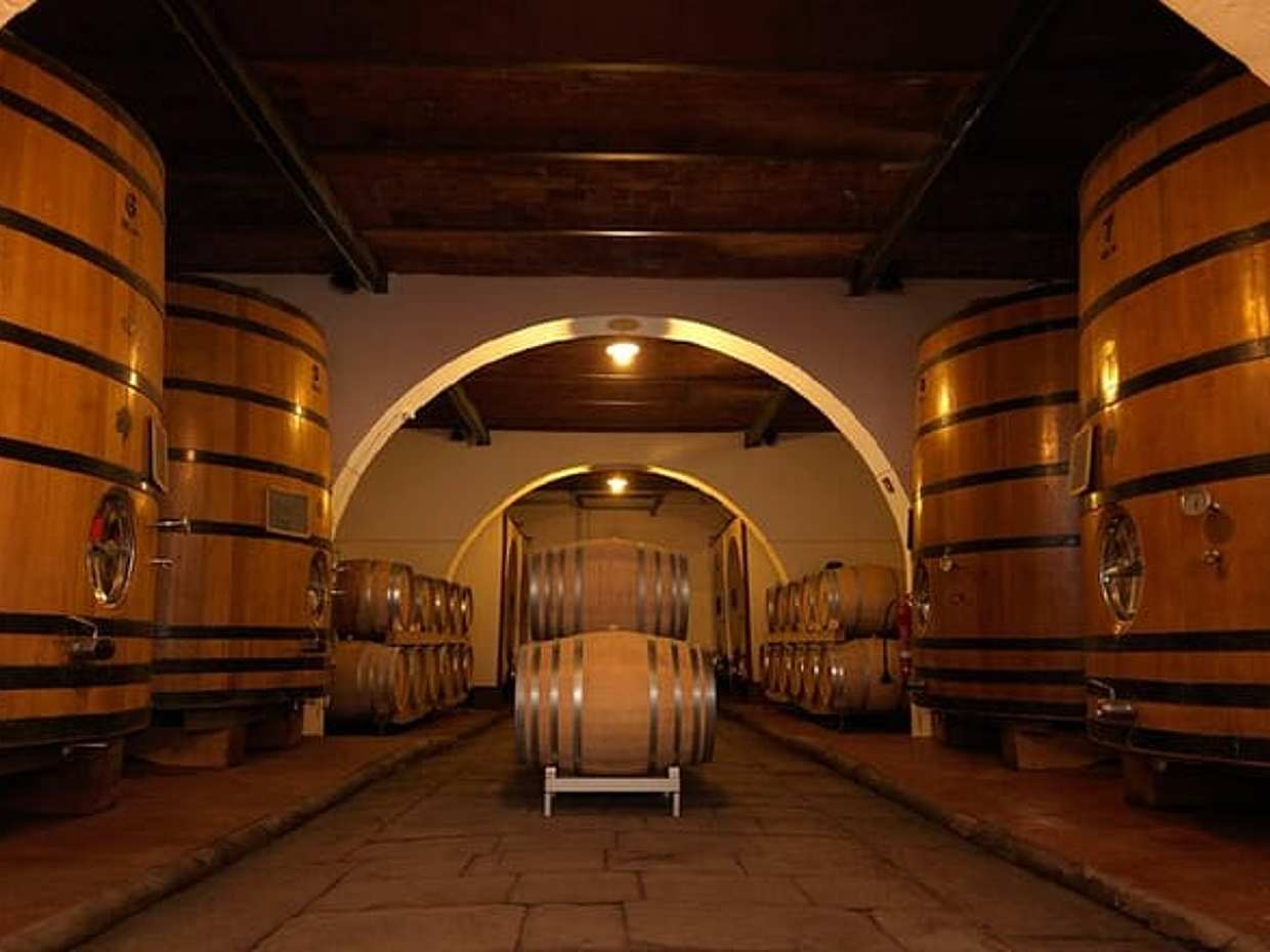 Exclusive Chianti Rufina Half Day Tour with Lunch from Florence, photo 5