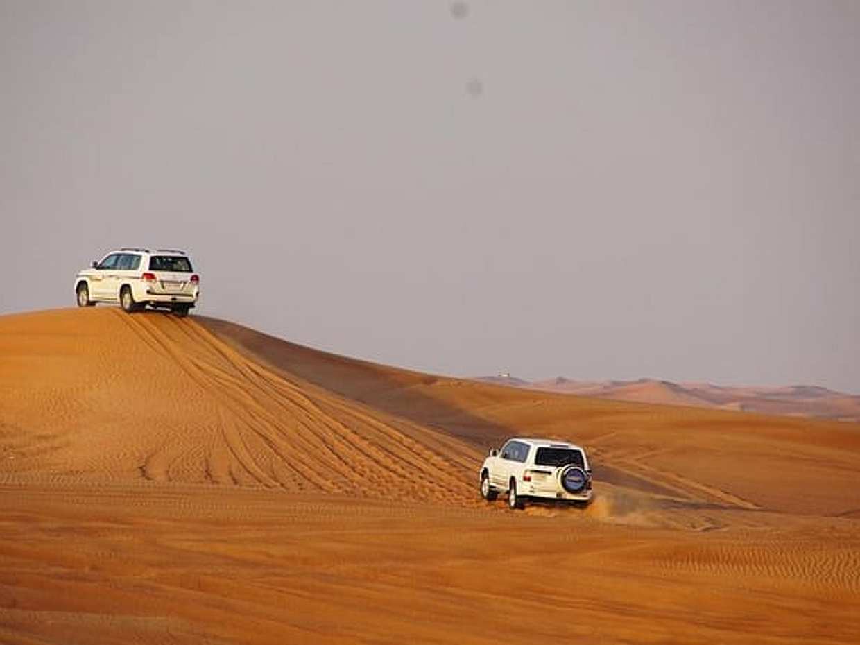 Dubai Desert Excursions with BBQ Dinner & Live Entertainment