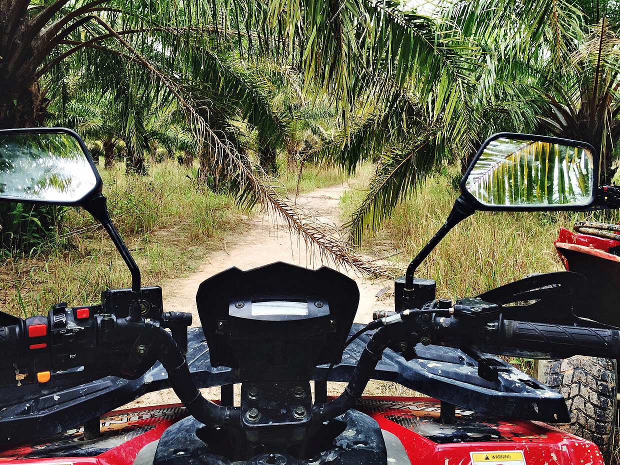 Ubud ATV Quad Bike Adventure