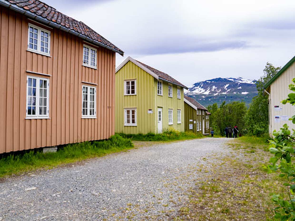 Fjordtour and sightseeing for cruiseship guests, photo 4