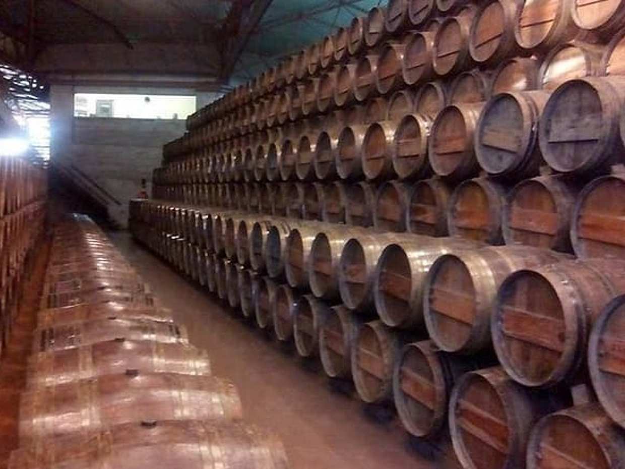 Journée complète de visite privée des vins à Arrabida au Portugal, Lisbonne, photo 2