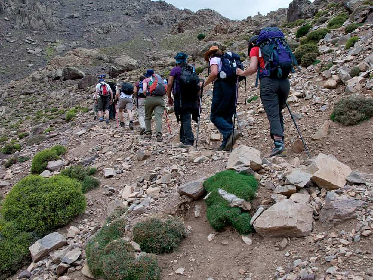 Atlas Mountain Day Trip - Camel Ride- Waterfalls With Expert Guide in Morocco, Atlas Mountains, photo 3
