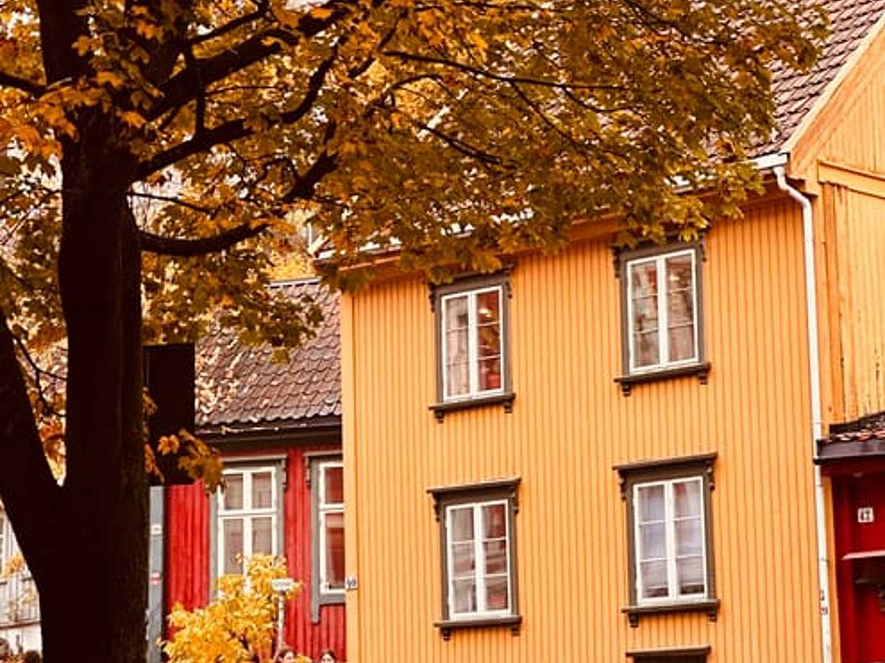 Noorse Foodtour & Verborgen Juweeltjes van Oslo in Noorwegen, photo 5