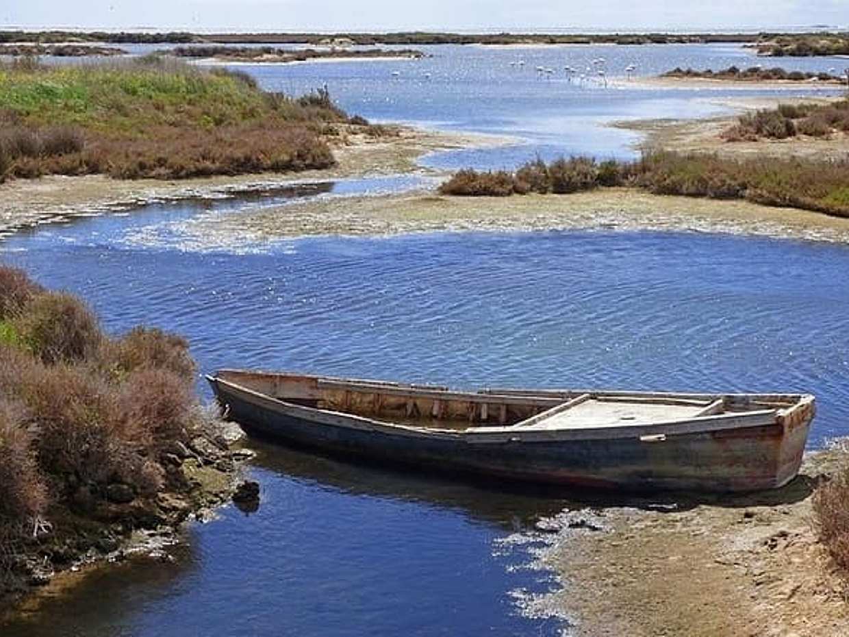 Delta del Ebro: Oysters and rice - From Salou / Tarragona, photo 3