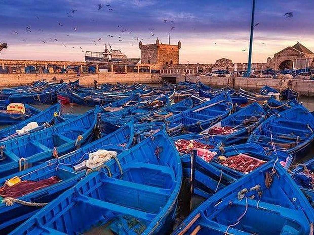 Excursión de un día a la costa de Essaouira desde Marrakech con guía en Marruecos
