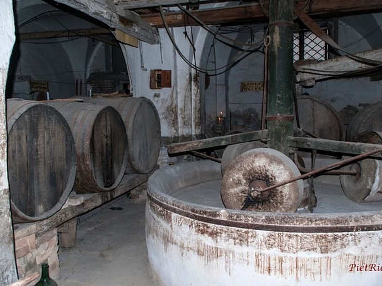 Food and wine tour in Pianella in Abruzzo between oil wine and typical products., photo 2