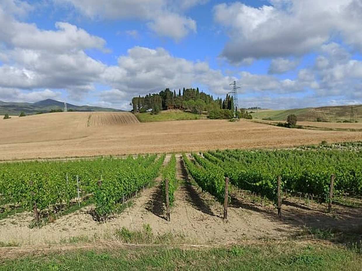 PRIVATE EXCURSION: Volterra & San Gimignano + wine tastings (from Livorno Port), photo 4