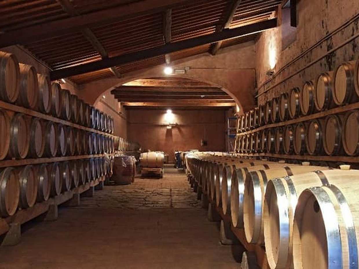 Brunello di Montalcino: Prohlídka vína ze San Gimignano v Itálii, photo 3