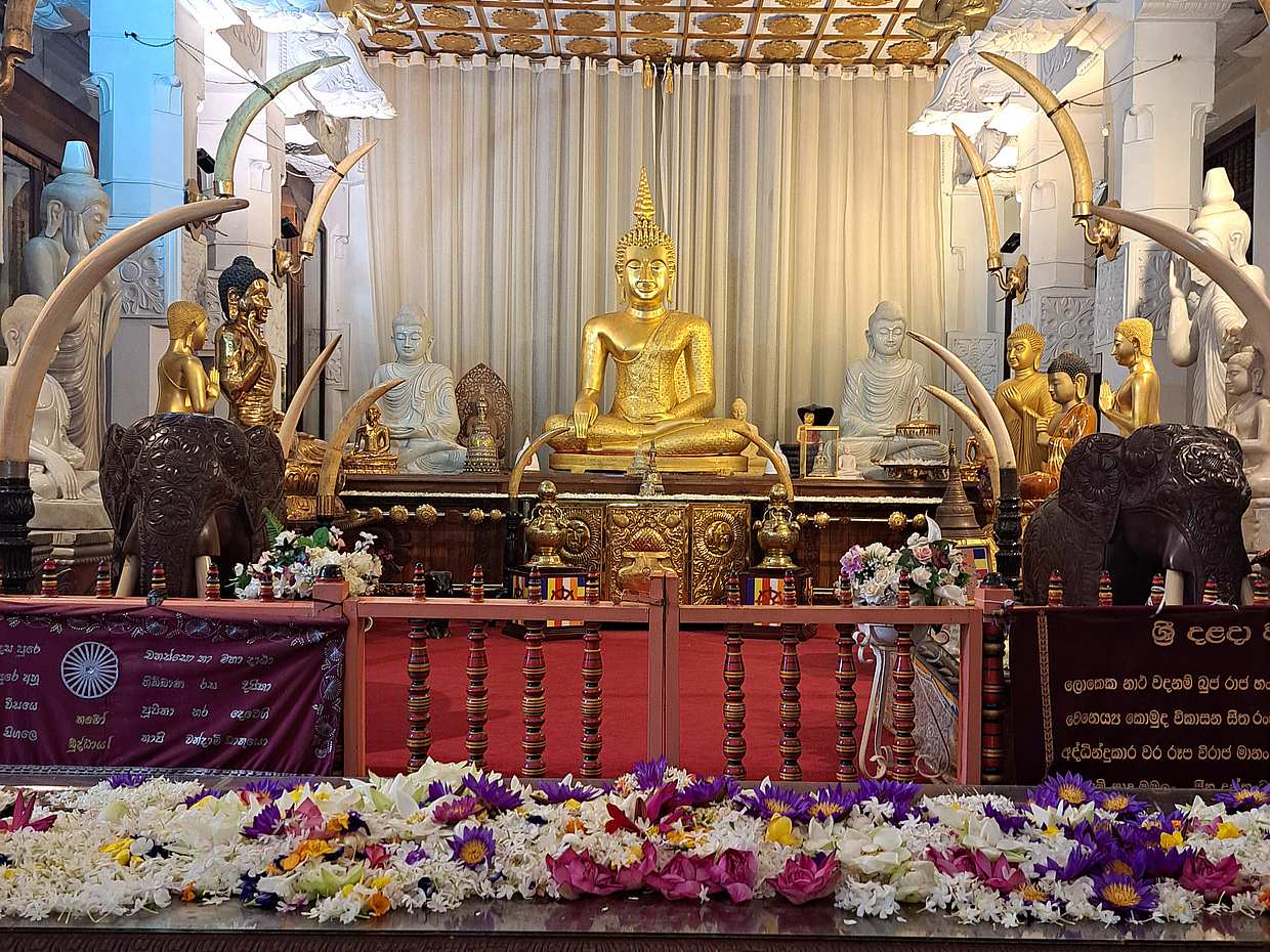 Highlights & Hidden Gems of Kandy Walking Tour in Sri Lanka, photo 2