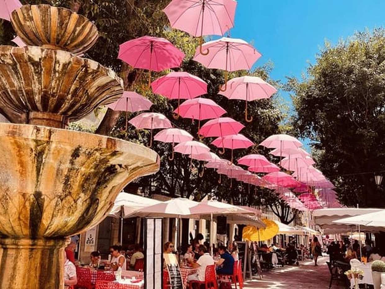 Full-Day Shared Tour Provence and its Medieval Villages from Nice, photo 5