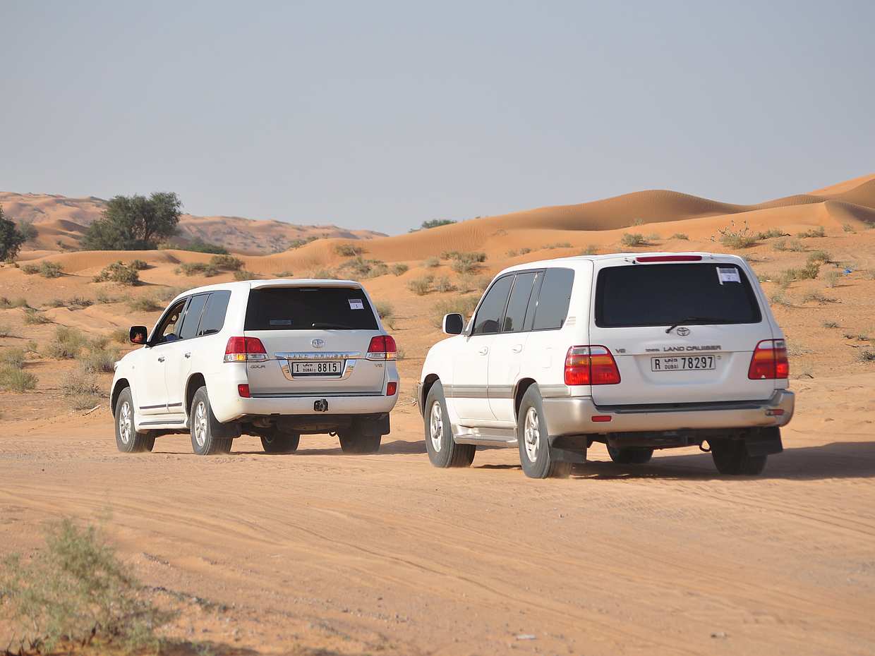 Private Tour: Desert Safari  with Dinner from Fujairah in Ras al Khaimah, United Arab Emirates, photo 4