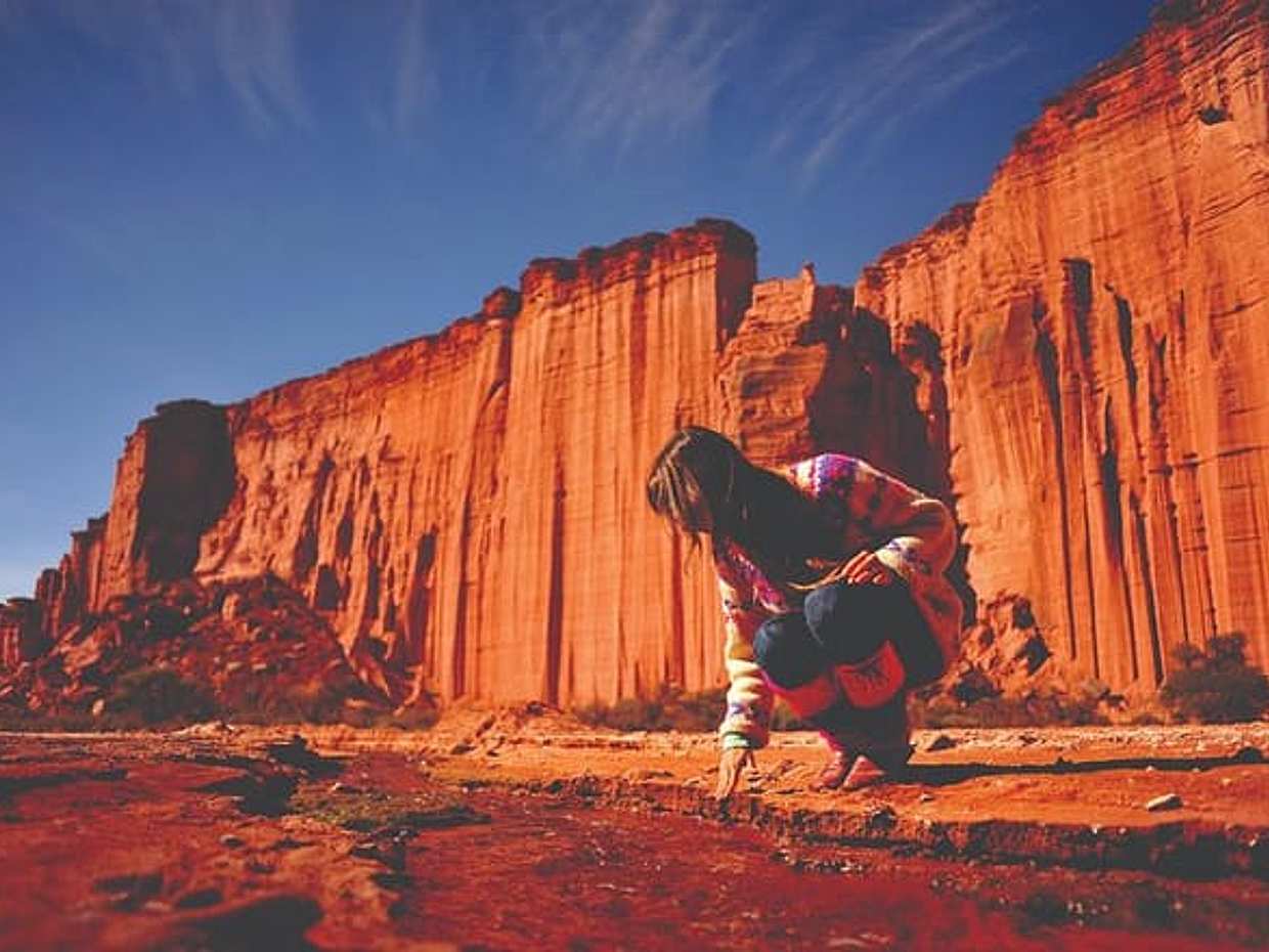 "Valle de la Luna, Ischigualasto, San Juan - Volledige dagtour, Argentinië"