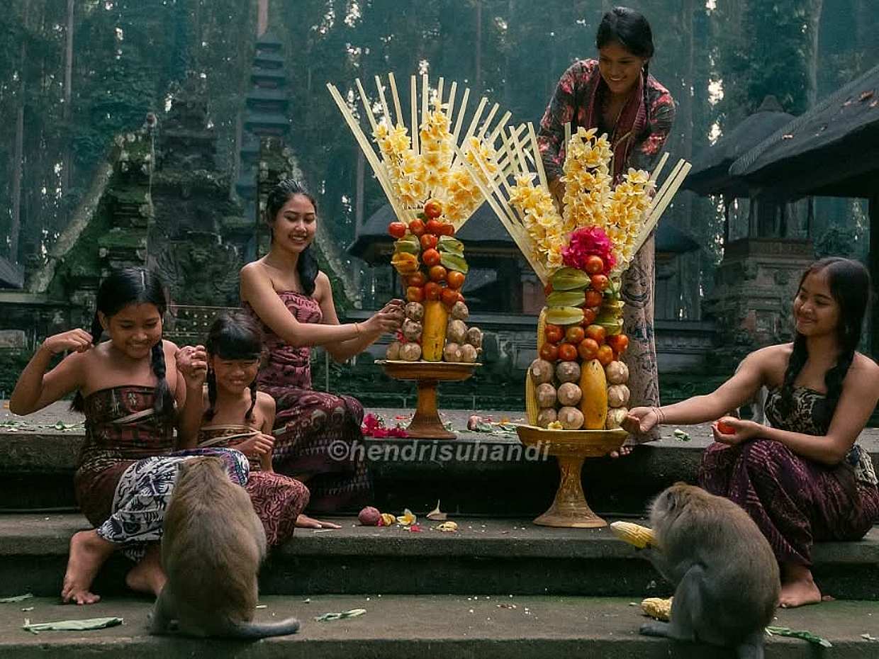Full Day Bali Nature & Iconic Temple Tour: Sangeh, Jatiluwih & Tanah Lot in Indonesia, photo 2