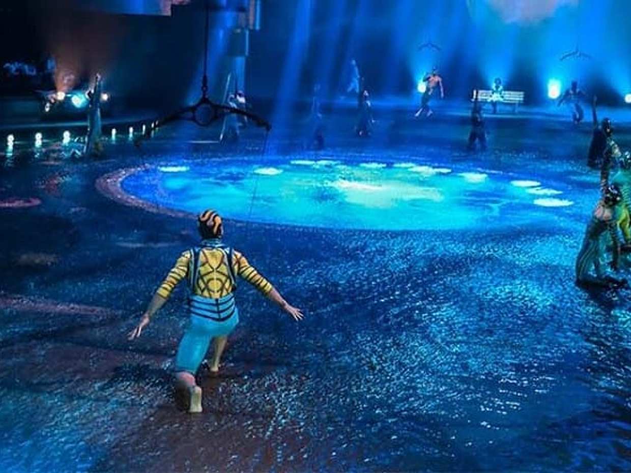 Dubai La Perle Dragone Show Admission Ticket, photo 4