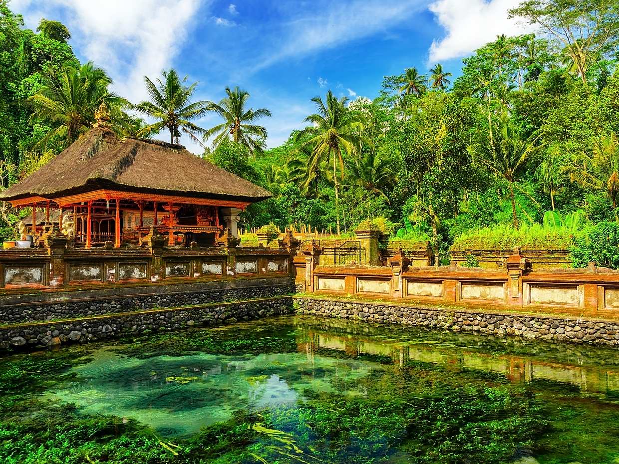 Bali Fantastic One-day Private Tour, photo 3