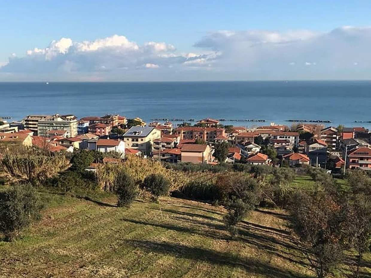 Visita e degustazione in cantina Rapino, photo 5