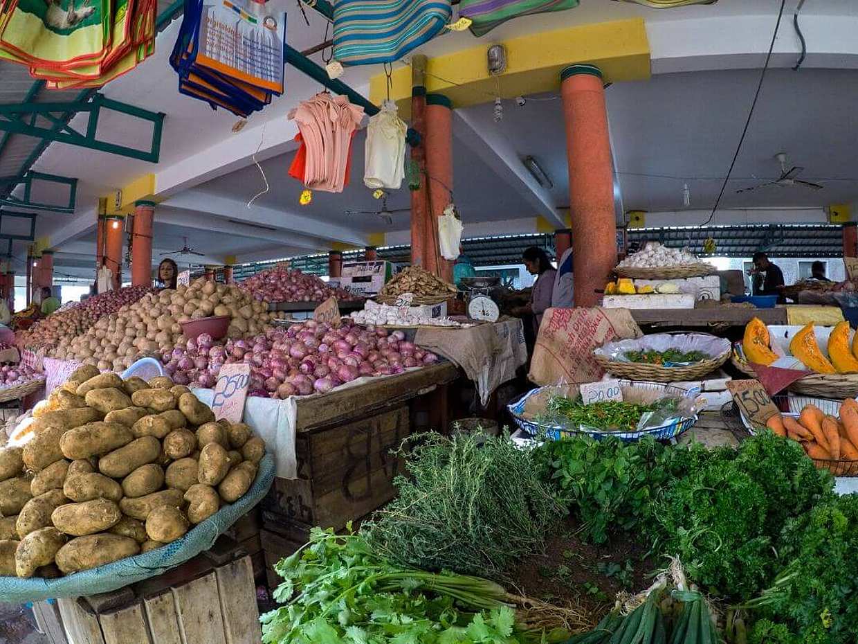 East Coast Full-day Tour, Mauritius, photo 3