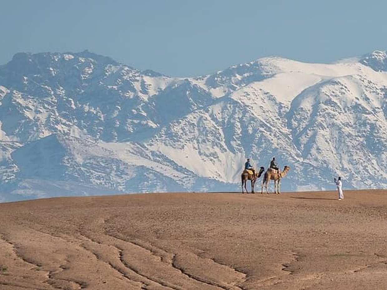 Agafay Desert Package : Quad Bike, Camel Ride and Dinner Show, photo 4