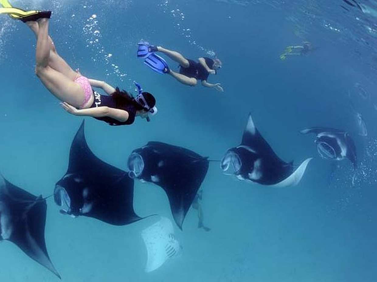 Full Day Tour to Nusa Penida and Snorkeling with Manta Rays, photo 4