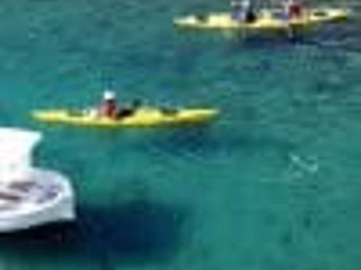Escapade Kayak de mer Calanques de Cassis, photo 2