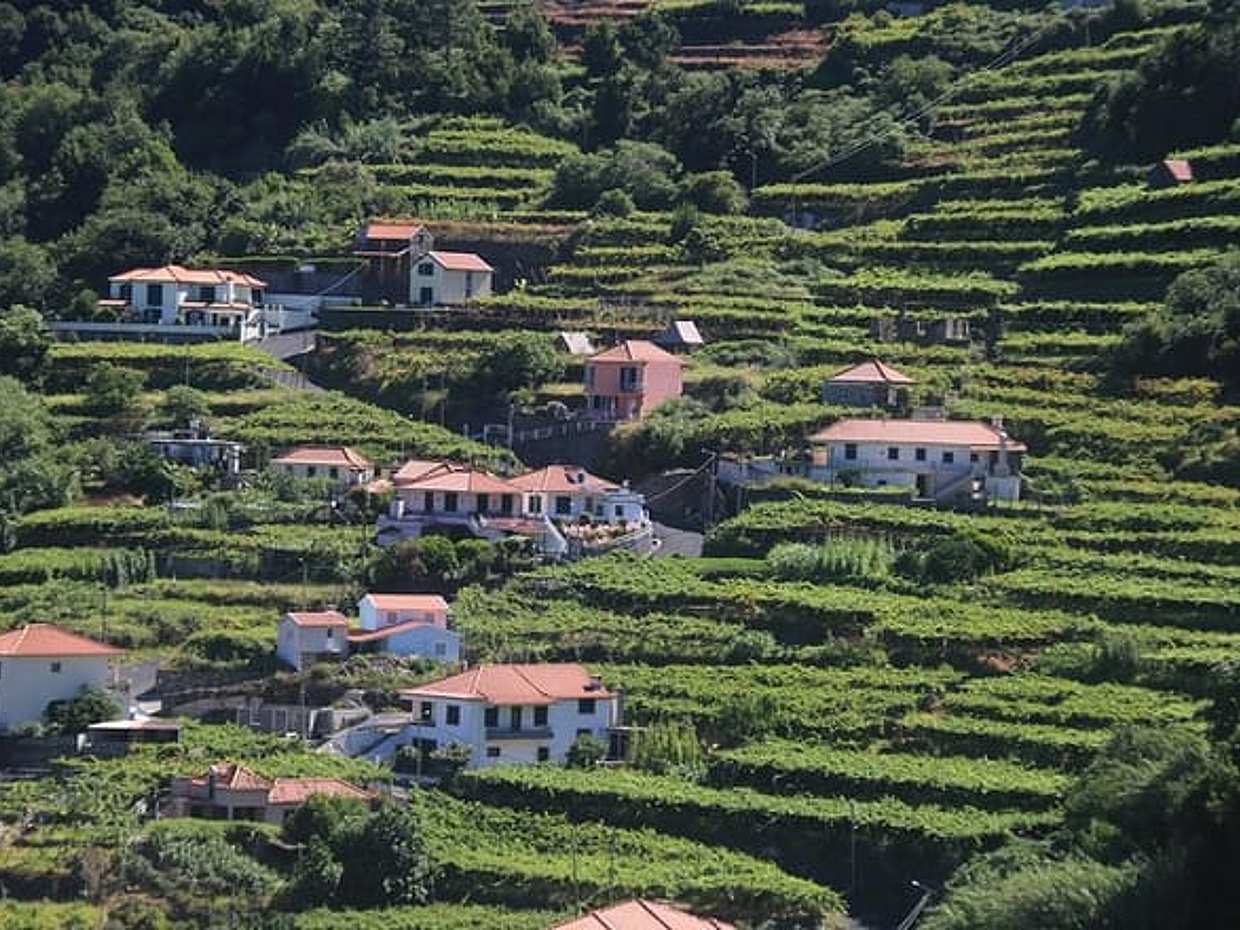 Wine tasting and Jeep Adventure in Madeira's Majestic Countryside, photo 3