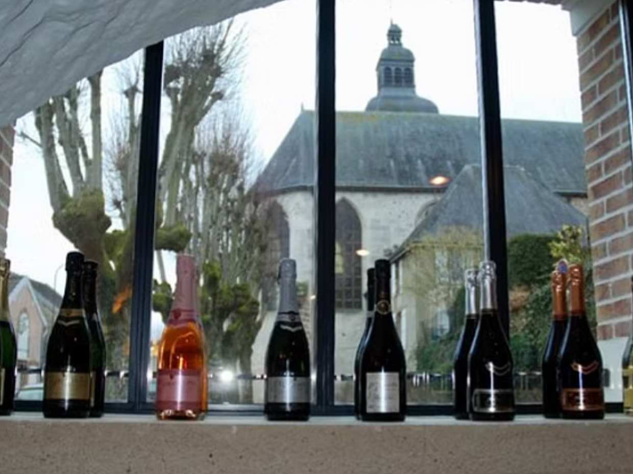 Moet et Chandon, Pressoria Small Group Champagne Trip from Paris in France