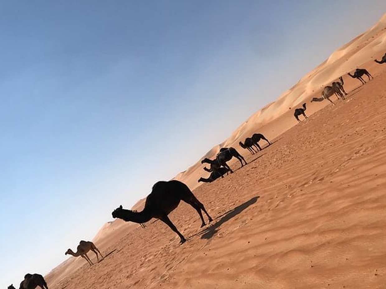 Empty Quarter Sunset Desert Safari, photo 5