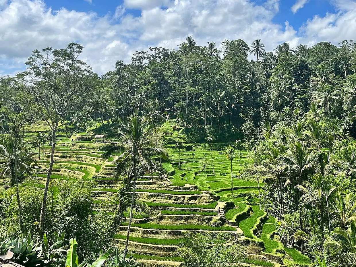 Ubud Bali: Sari Timbul,Tegalalang Rice terrace & Taman Dedari Day Trip in Indonesia, photo 5