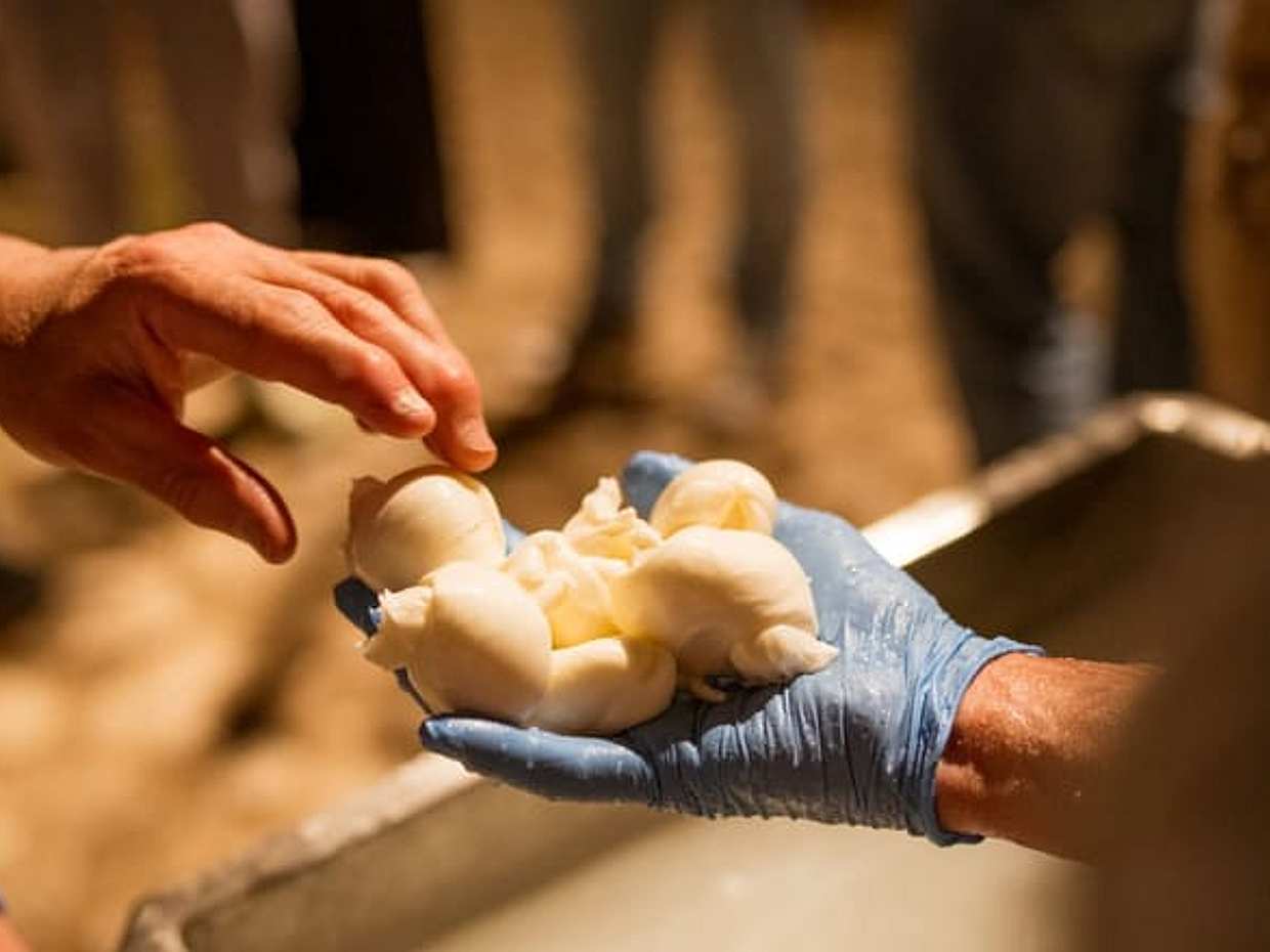 Talea Cheese Academy: learn the art of handcrafted mozzarella, photo 5