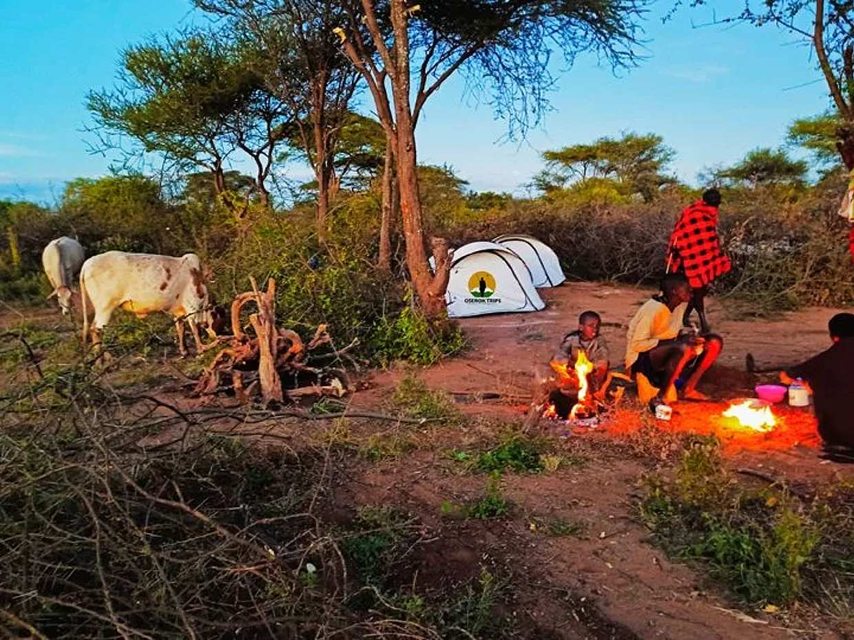 Maasai kampeerervaring in Tanzania, Moshi., photo 2