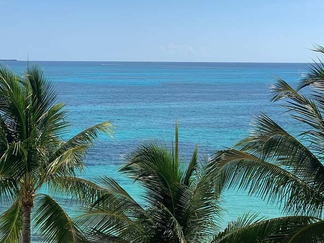 Half-Day Private Day Trip From Akumal to Cancun
